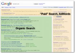Google search engine results