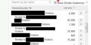 Similar Audiences in AdWords Display settings