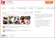 Site Search