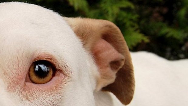 Promoting a new business