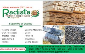 Botswana Advertiser online