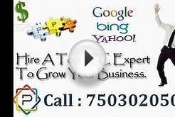 Google Adwords PPC Expert for Tech Support (7503020504)